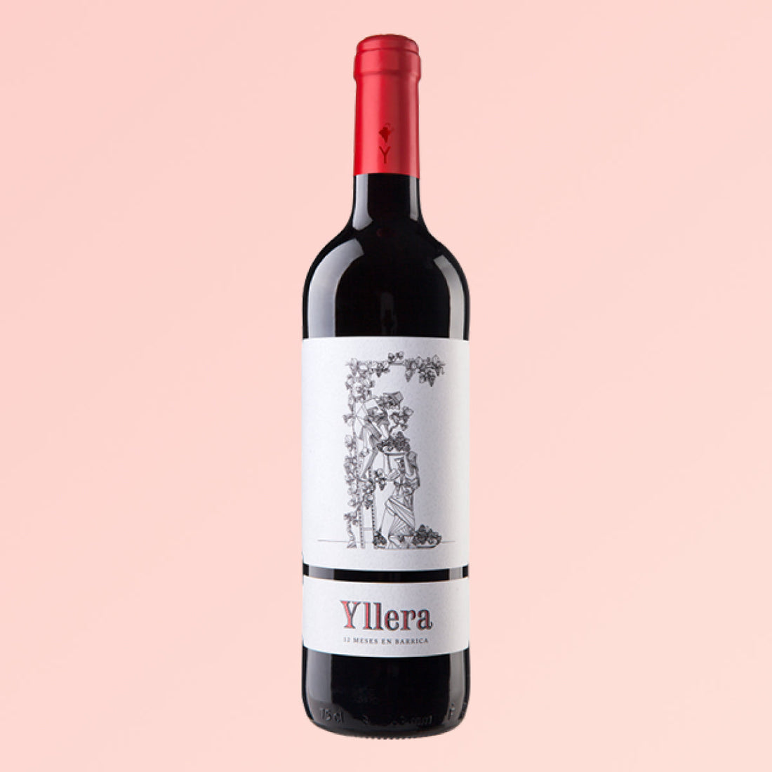 Yllera Crianza 12 Meses: Španělský skvost mezi červenými víny za skvělou cenu