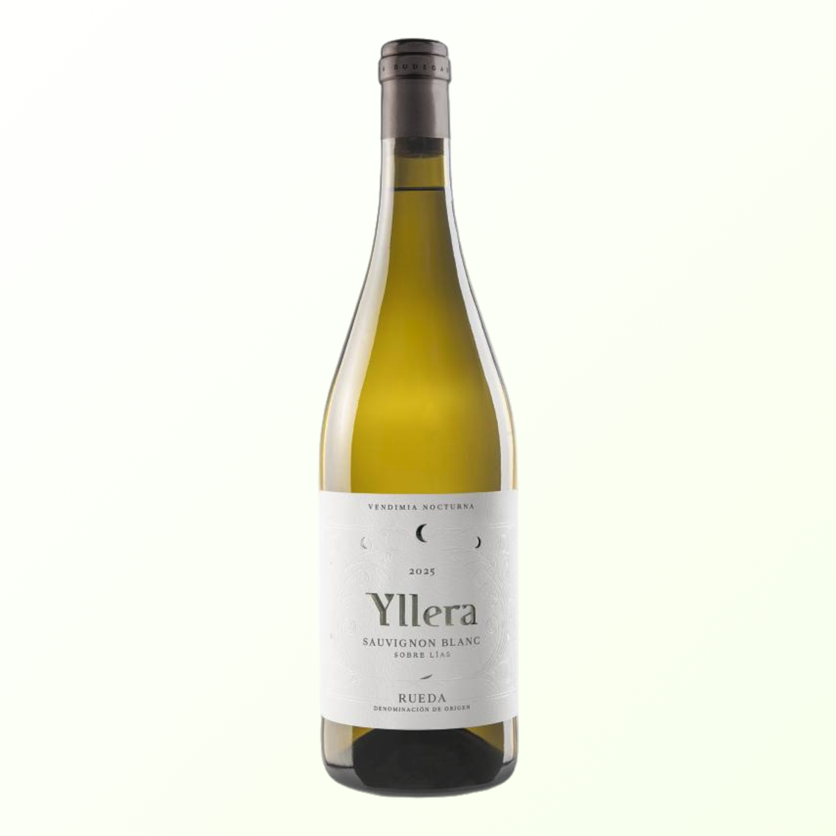 Sauvignon blanc Yllera