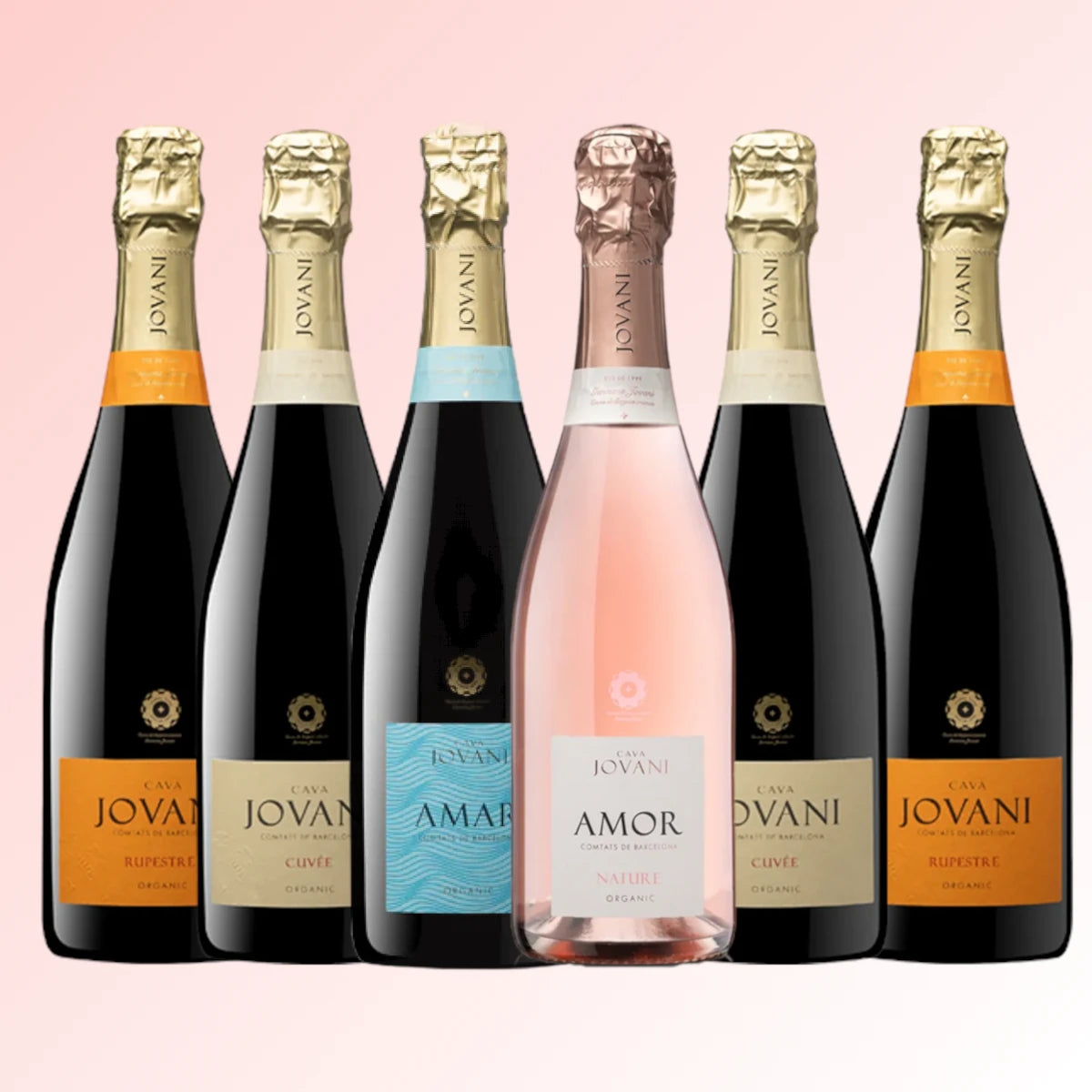 Oceněná CAVA